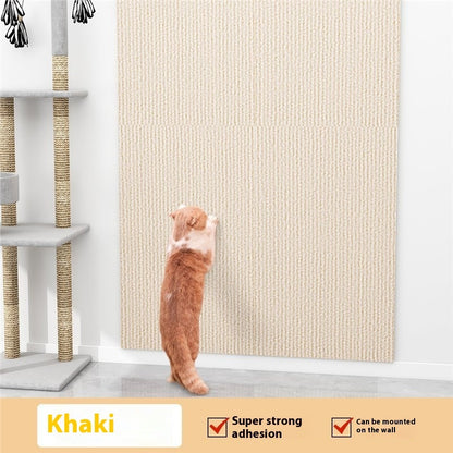Cat standing on a textured beige wall with a cat tree in the background