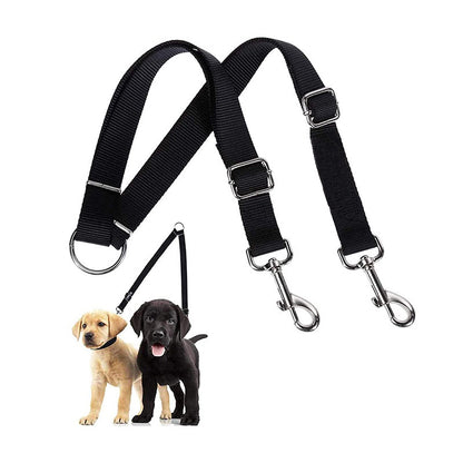 Black dog leashes with metal clips on a white background, with two puppies standing below.