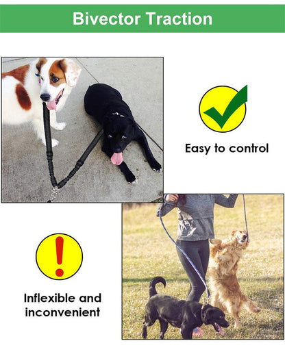 Bivector Traction system for dogs with images of dogs using the product and text indicating ease and inflexibility.