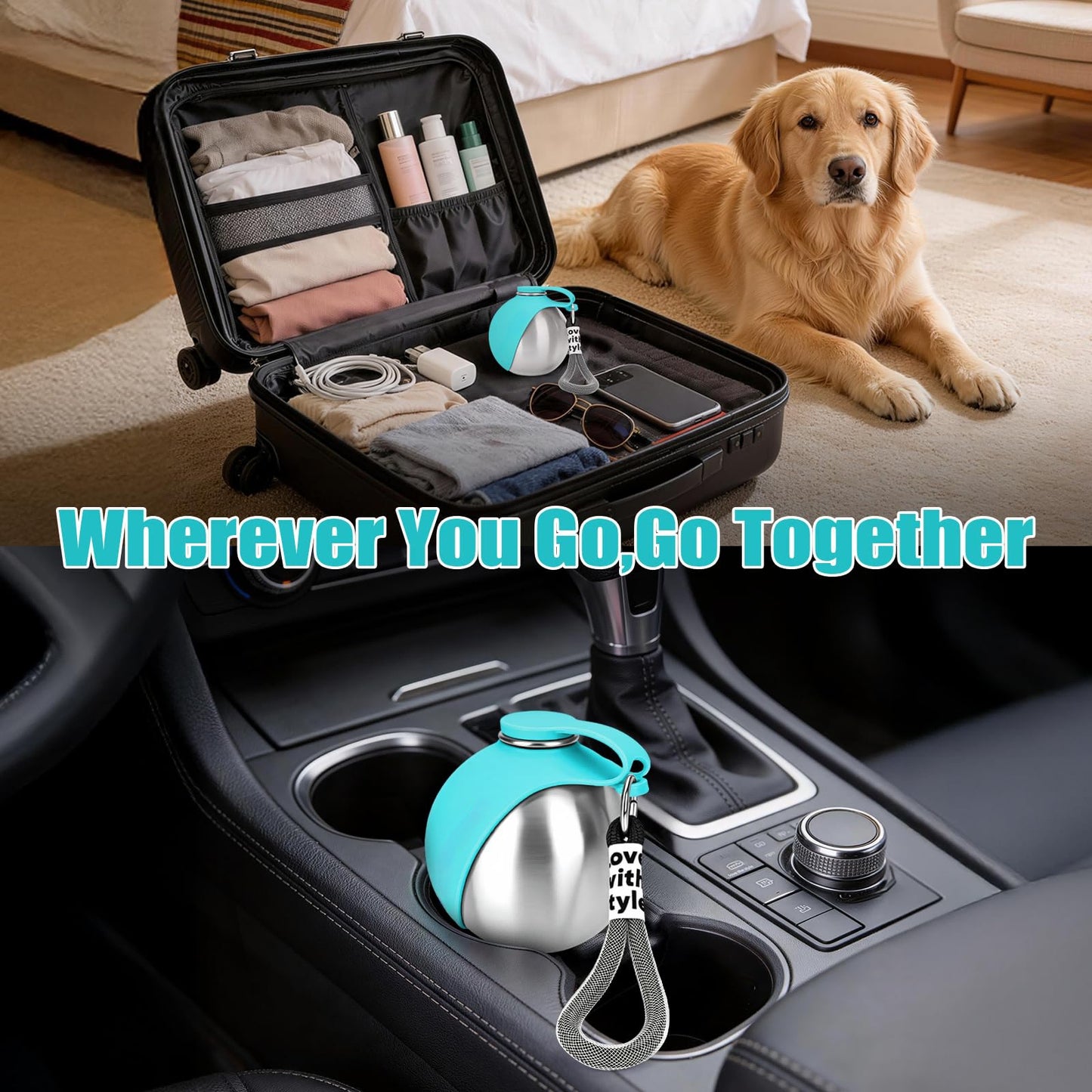 Dog travel case with pet supplies and a dog sitting in the background