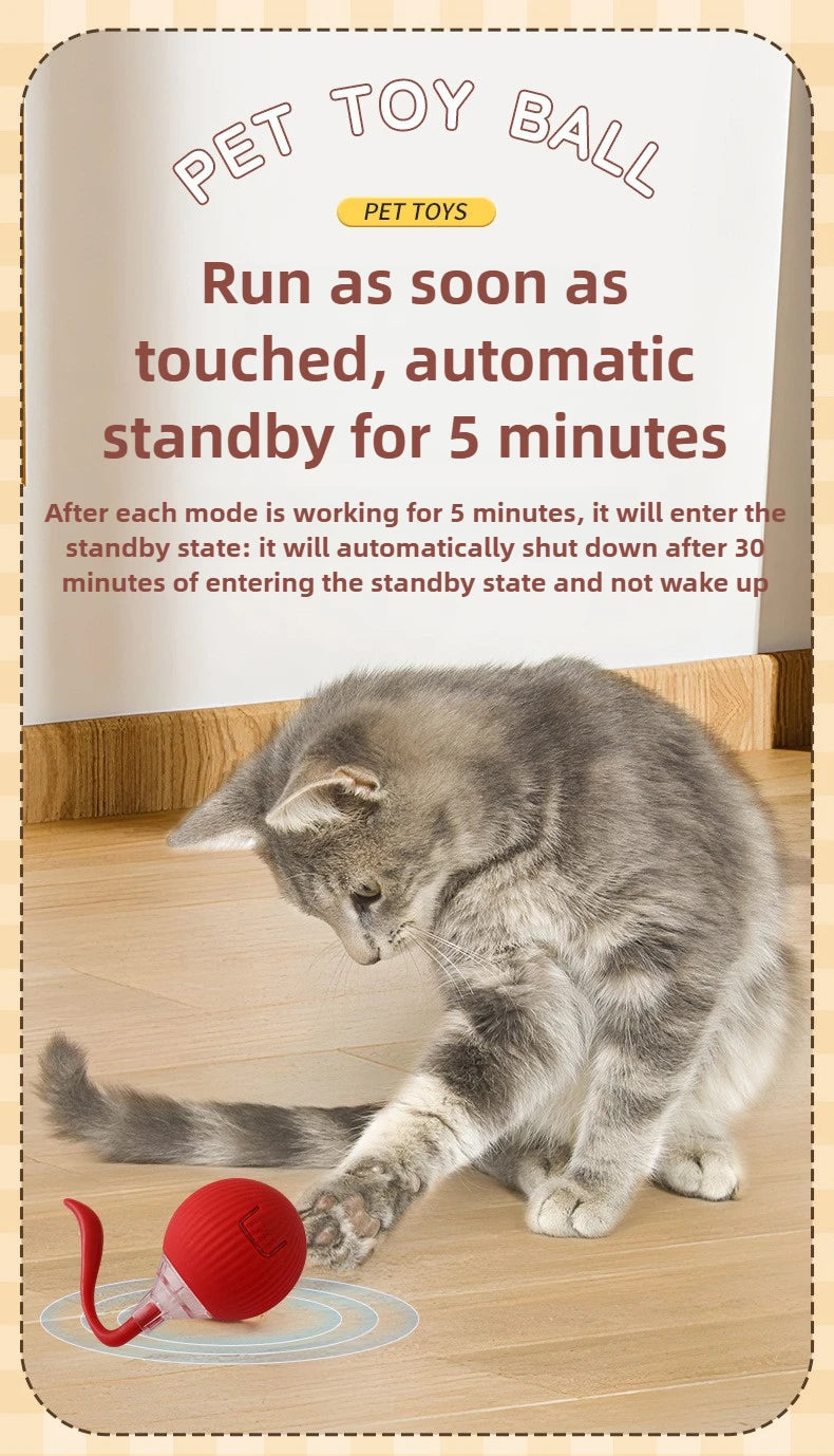 Cat playing with a red toy ball on a wooden floor, with text about the toy's features.