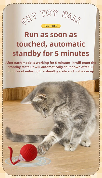 Cat playing with a red toy ball on a wooden floor, with text about the toy's features.