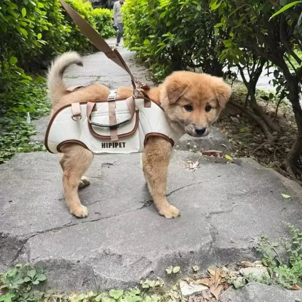 Puppy wearing a small backpack with 'HIPPET' branding on a stone path.