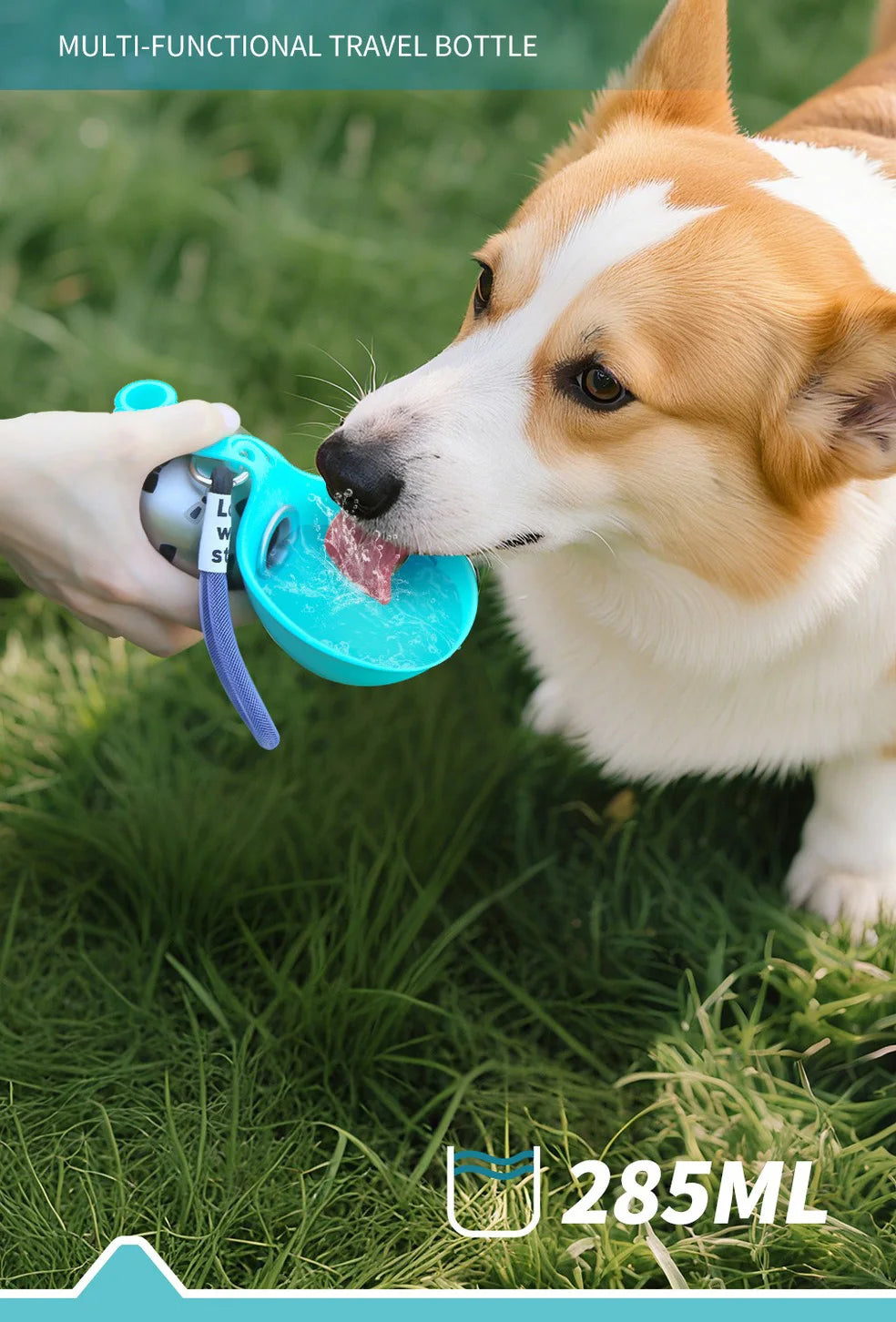 Small Dog Water Bottle 285ML Stainless Steel/PETG Convenient Dog Drink Dispenser Puppy Travel Portable Water Bowl