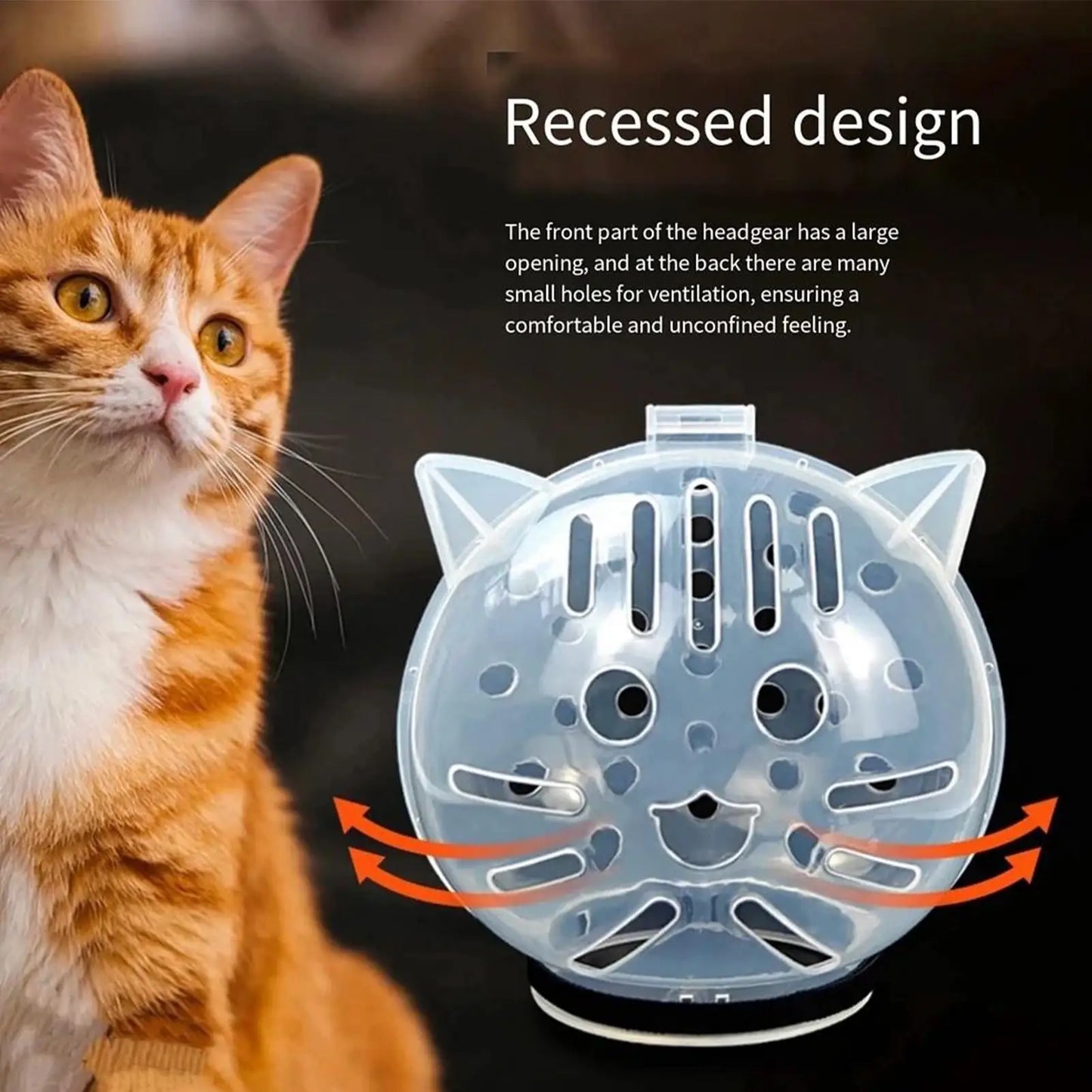 Cat wearing a head collar with text about its design next to an orange and white cat.