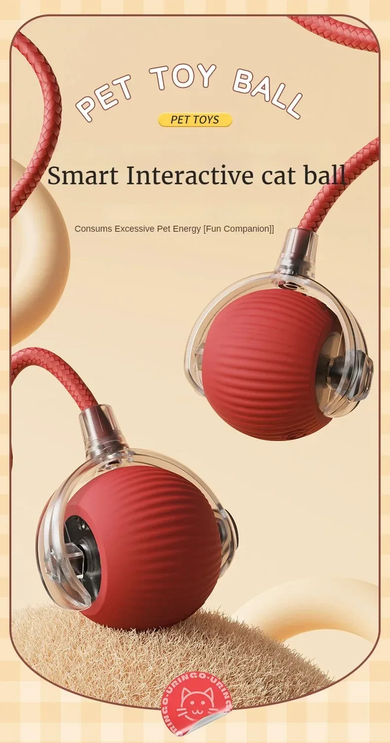 Smart interactive cat toy ball with a red ball and string on a beige background
