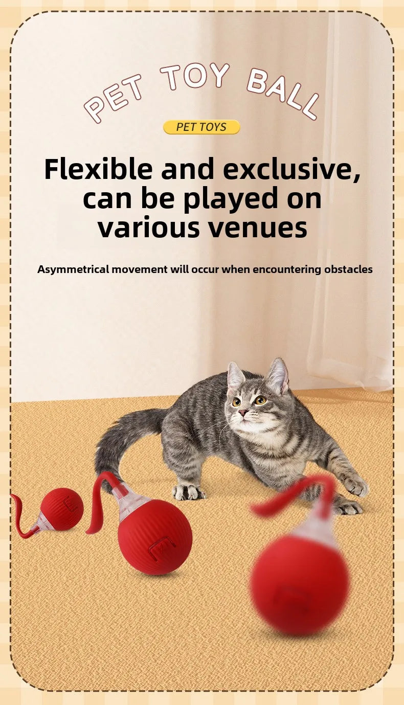 Cat playing with a red pet toy ball on a beige floor.