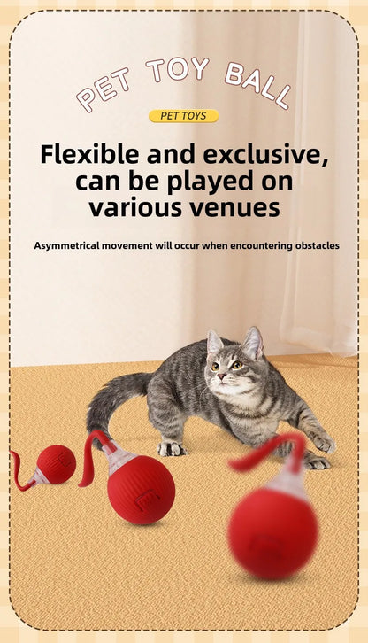 Cat playing with a red pet toy ball on a beige floor.
