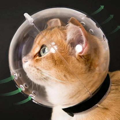 Cat wearing a transparent helmet with green arrows on a black background
