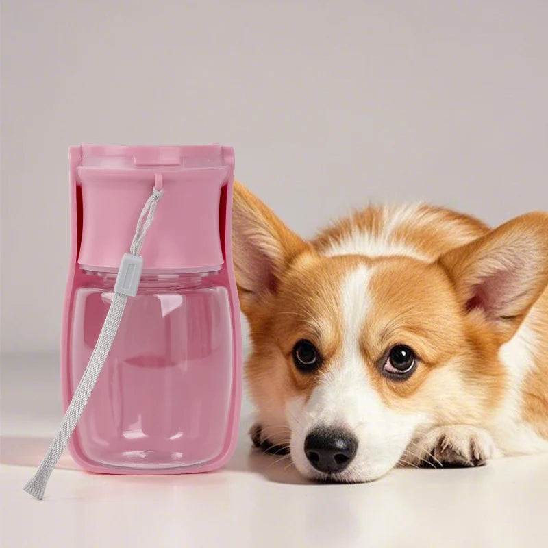 Dog next to a pink pet water bottle on a light background