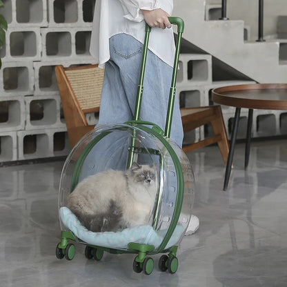 Person pulling a transparent pet carrier with a cat inside, set against an indoor background.
