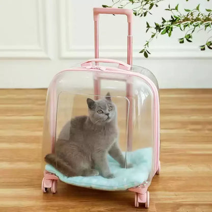 Cat inside a transparent pet carrier with pink handle and wheels on a wooden floor.