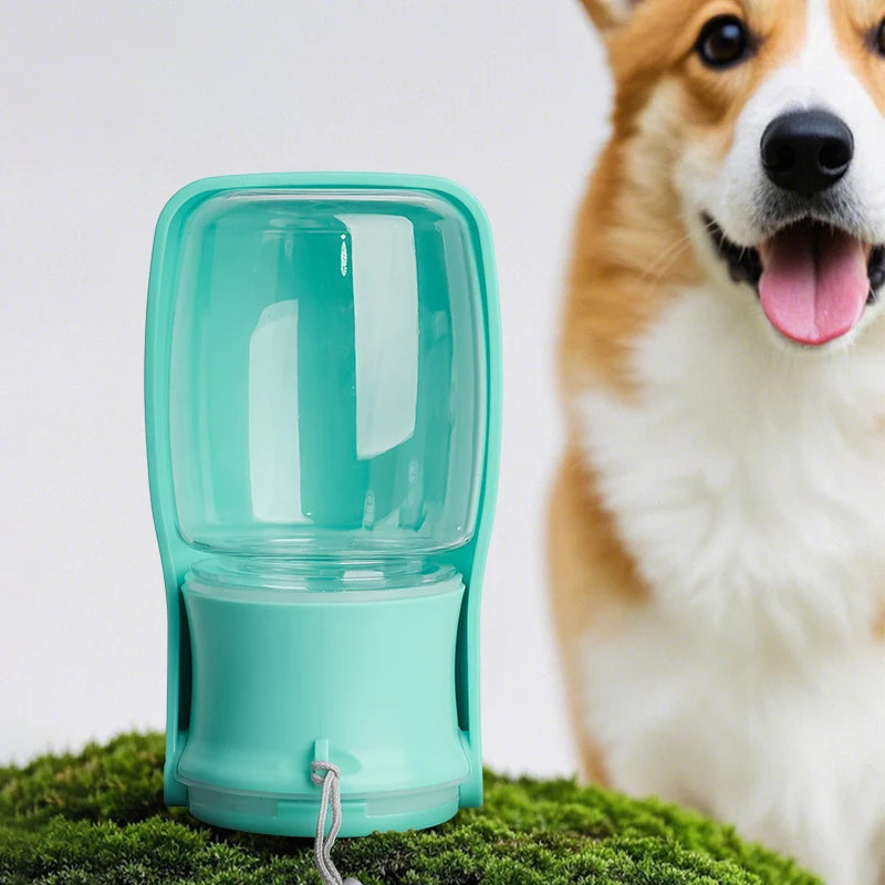Turquoise pet water bottle on grass with a dog in the background