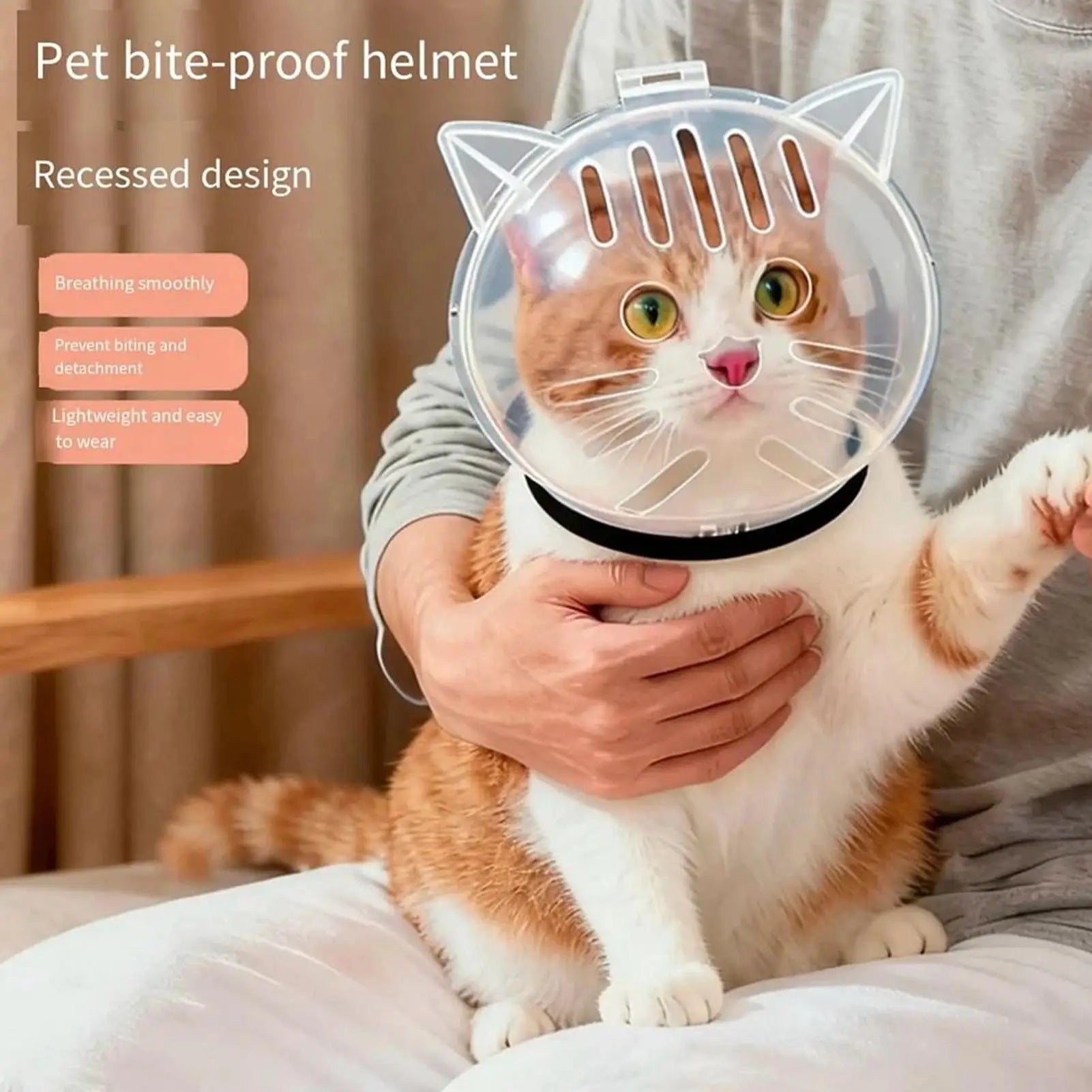 Cat wearing a pet bite-proof helmet with a person holding it, on a neutral background.