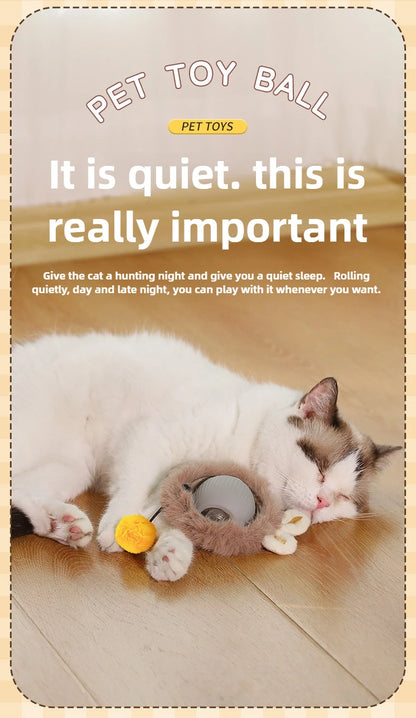 Cat playing with a pet toy ball on a wooden floor.