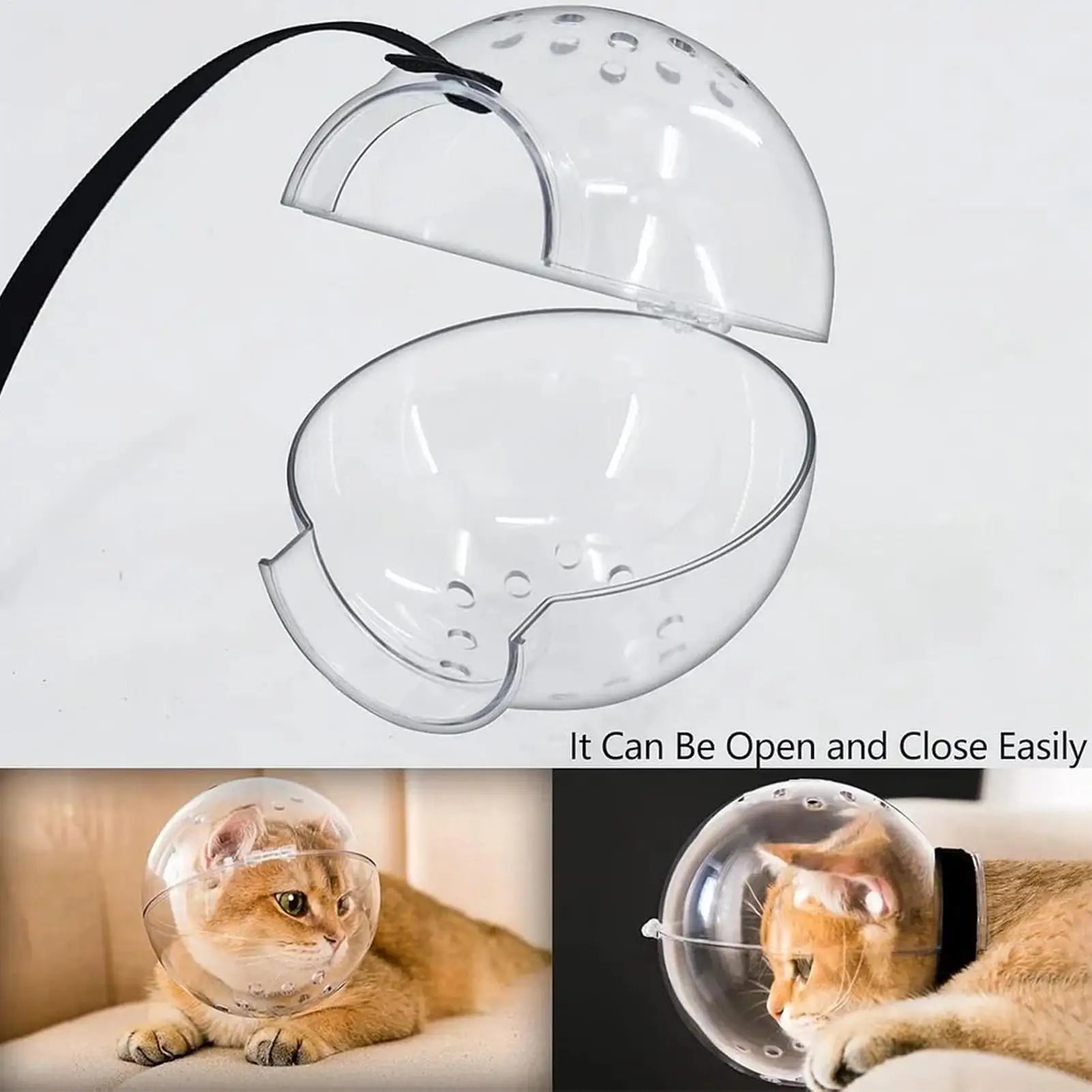 Pet cone with clear plastic covering, showing ease of opening and closing, and a cat wearing it.