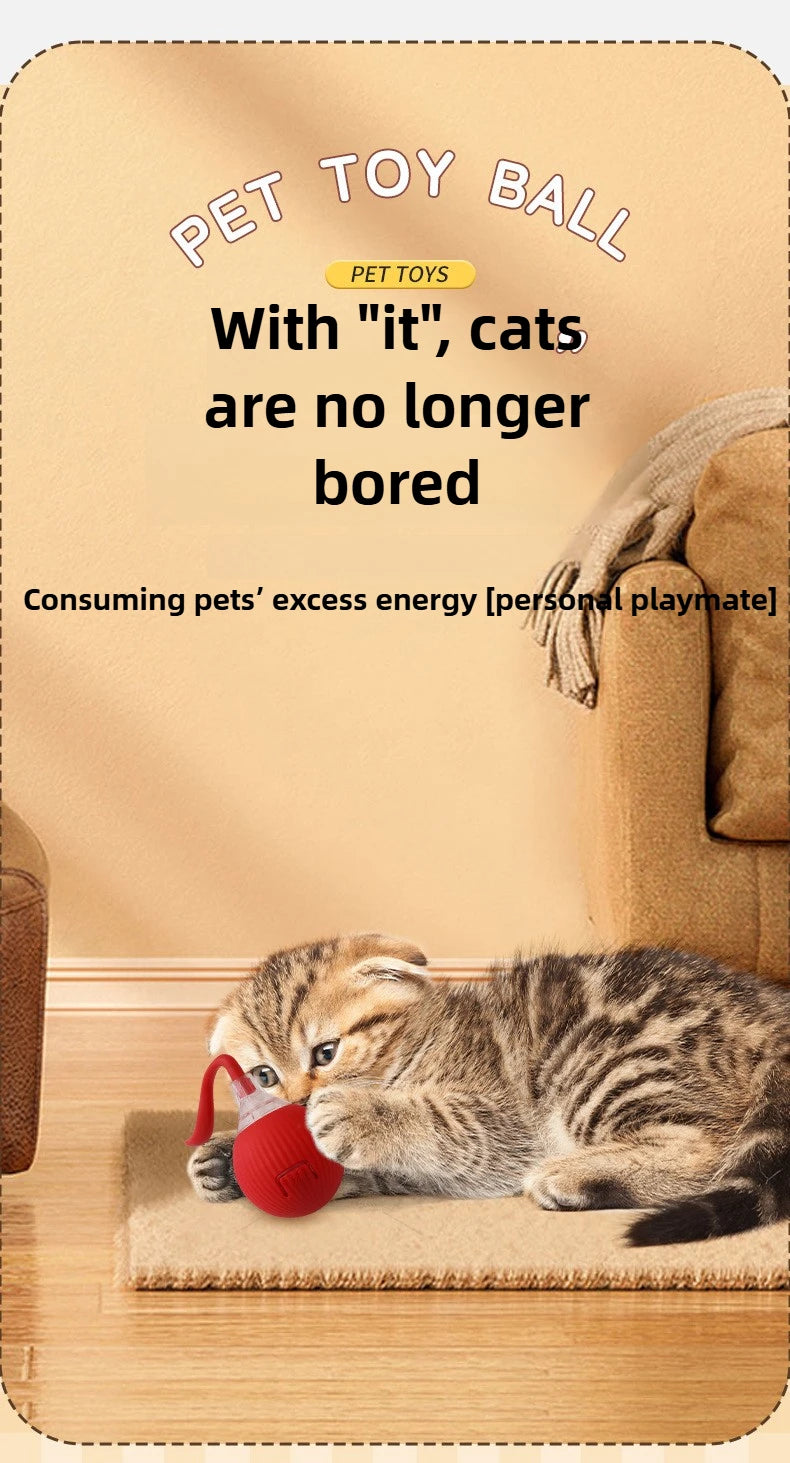 Cat playing with a red toy ball on a beige carpet, with promotional text about pet toys.