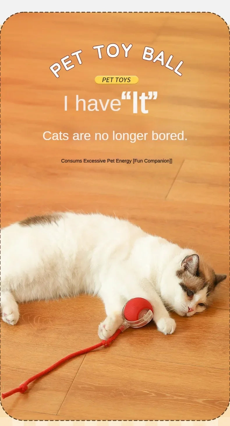 Cat playing with a red toy ball on a wooden floor, with promotional text about the product.