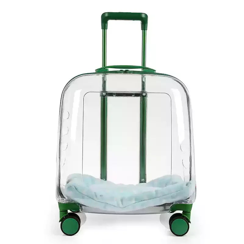 Clear suitcase with green handle and wheels on a white background