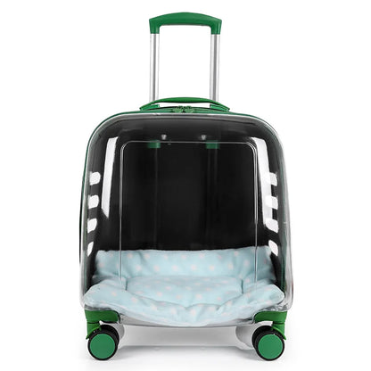 Clear suitcase with green accents and a cushion inside on a white background