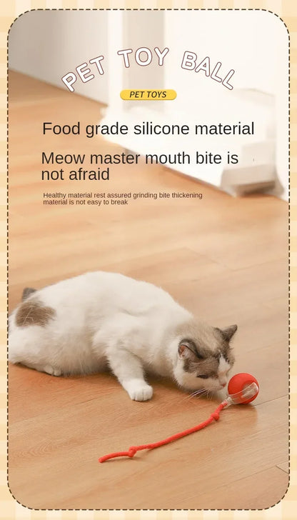 Cat playing with a red toy ball on a wooden floor, with text about pet toy ball features.