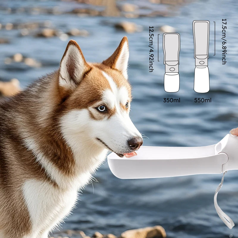 Dog drinking water from a white pet water bottle with measurements on a natural background