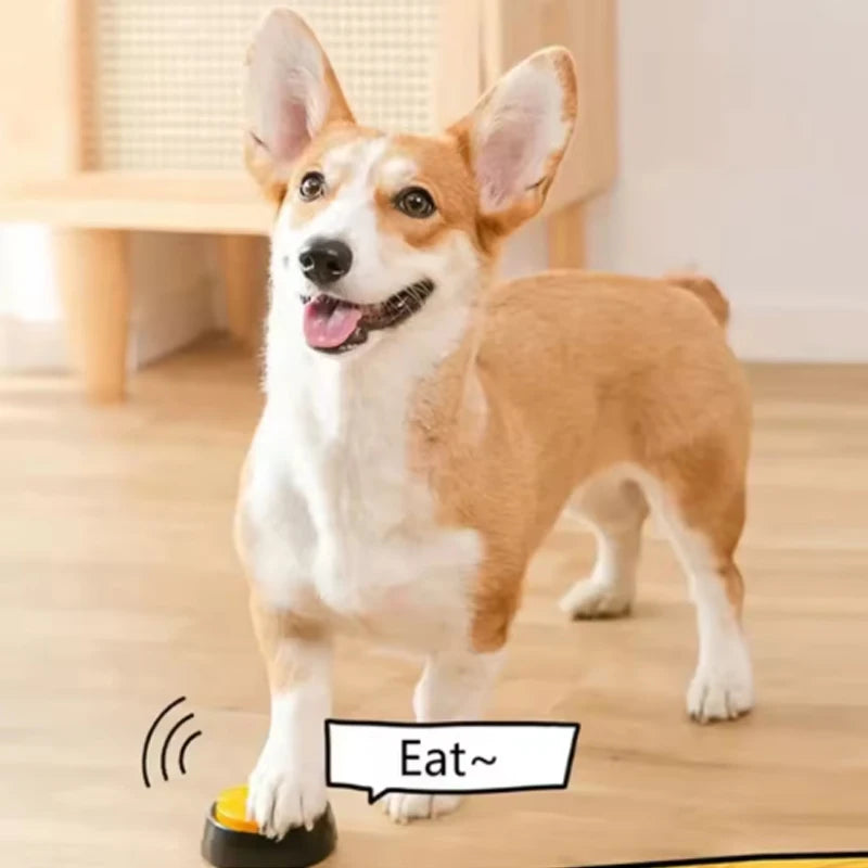 Dog standing on a wooden floor with a toy labeled 'Eat~' in front of it.