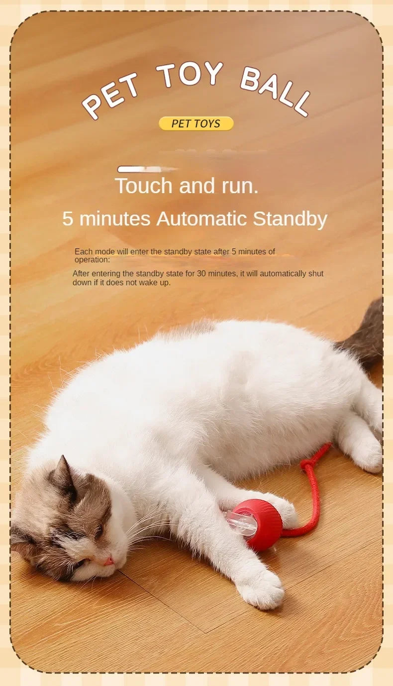 Cat playing with a red toy ball on a wooden floor, with product information text overlay.