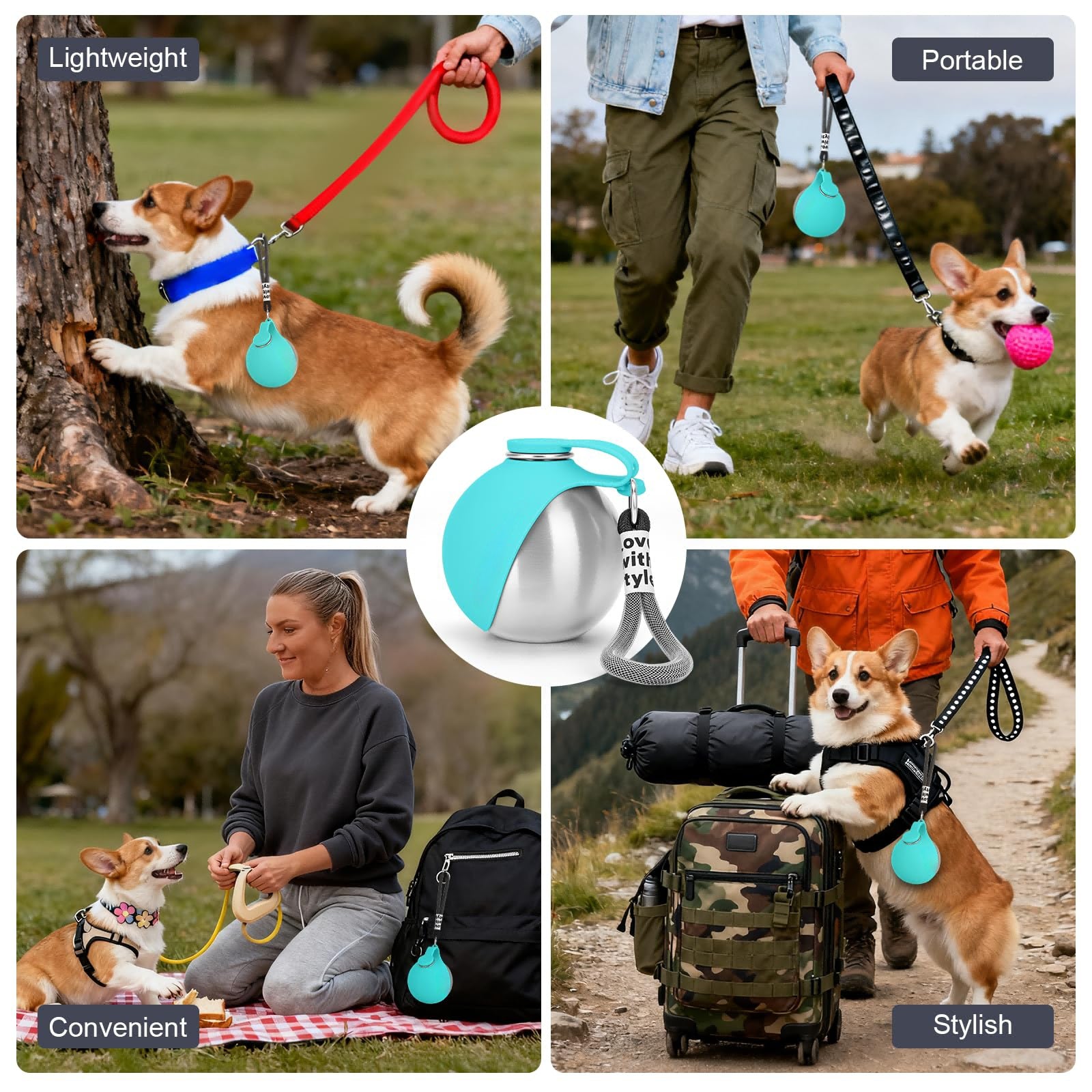 Collage of a dog using a leash, walking with a ball, being held by a person, sitting on a blanket, and standing on a suitcase with text labels on each image.