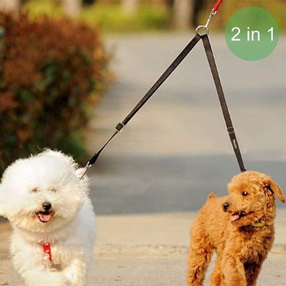 Two dogs on a 2-in-1 leash with a blurred outdoor background