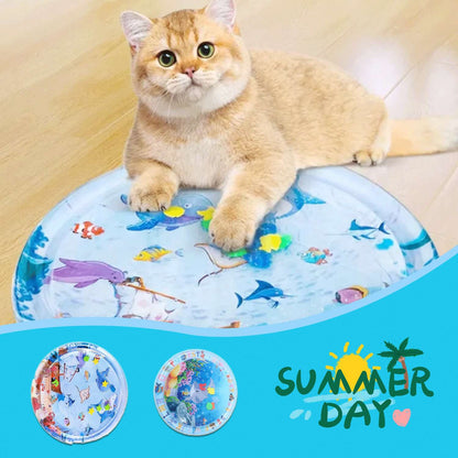 Cat sitting on a inflatable pool with cartoon designs and 'Summer Day' branding.